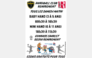 6aad06d7b21b7_FlyersBabyMiniHAND2027V3.pdf.png