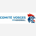 COMITE DES VOSGES DE HANDBALL