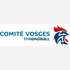 COMITE DES VOSGES DE HANDBALL